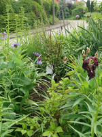 k-P1100638.webp