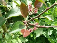 k-P1100660.webp