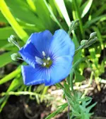 DSCF5912 (3).webp