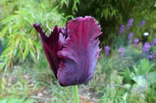 DSCF5869 (2).webp