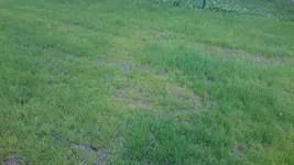 DSC_0098.webp DSC_0098.webp