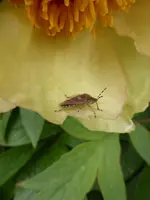 P1120168.webp