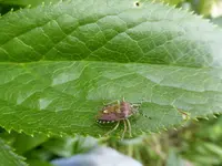 P1120172.webp