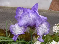 P1120150.webp