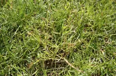 IMG_2113.webp