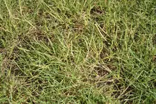 IMG_2114.webp