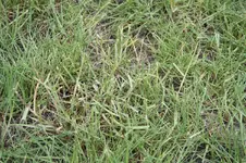 IMG_2120.webp