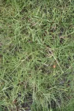 IMG_2117.jpg