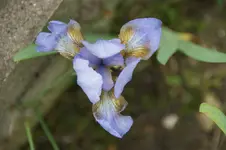 DSC04894.webp