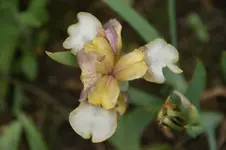 DSC04898.webp