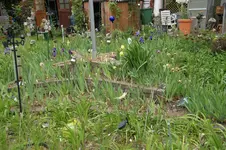 DSC04902.webp
