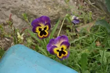 DSC04908.webp