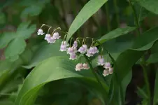 DSC04904.webp