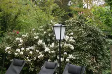 DSC04905.webp