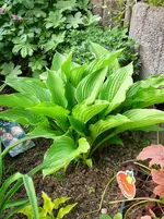 P1110876.webp