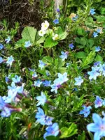 P1110880.webp
