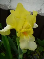 P1110884.webp