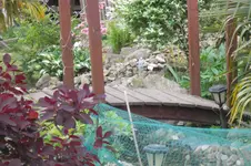SAM_1318.webp