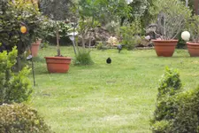 SAM_1320.webp