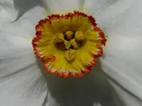 P1000129.webp