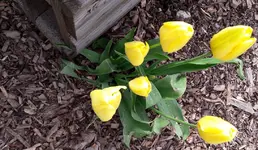 gemischtes 003.webp