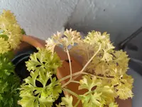 20160519_110044.webp