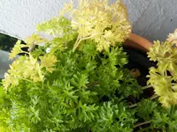 20160519_110104.webp