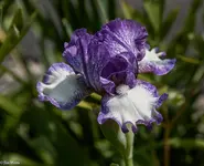 IMG_9573-2.webp