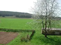 Kirschblüte kl.JPG