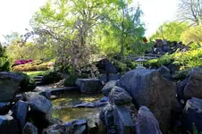 2016-05-08-8363.webp
