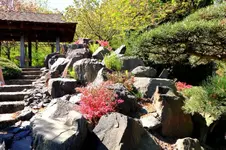 2016-05-08-8366.webp