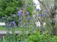 008.webp