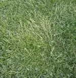 2016-05-19_19.00.25.jpg