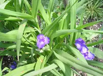 012.webp