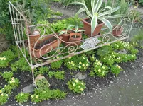 004.webp