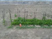 20160518_170923.webp