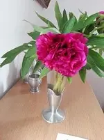 20160519_141658.webp