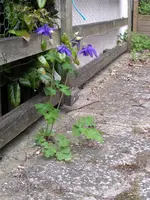 IMGP8739.webp
