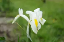 DSC01622.webp