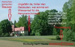 Biberrevier1a.jpg