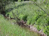 KleinerFluss.webp