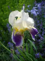 DSCN7527.webp