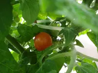 DSC04906.webp