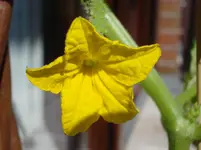 DSC04917.jpg