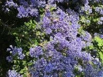 IMG_0650.webp