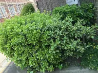 IMG_0678.webp