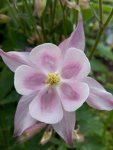 IMG_20160518_191028.jpg