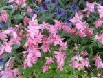 IMG_20160518_191037.jpg