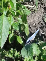 20160520_181139.webp