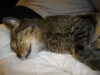 IMGP2764.webp